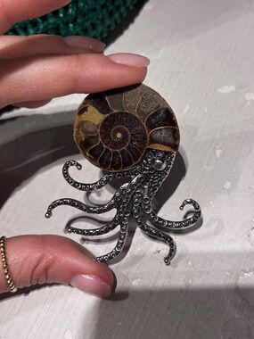 Silver Octopus Ammonite Brooch pin with Brown Shell